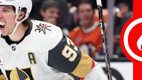 Marner muzzles Ducks taken in Rochester, N.Y.